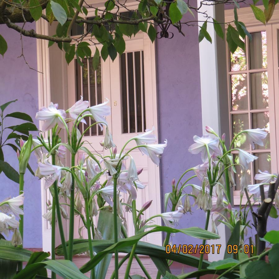 Hotel Boutique Quinta Maria سانتا كروز المظهر الخارجي الصورة