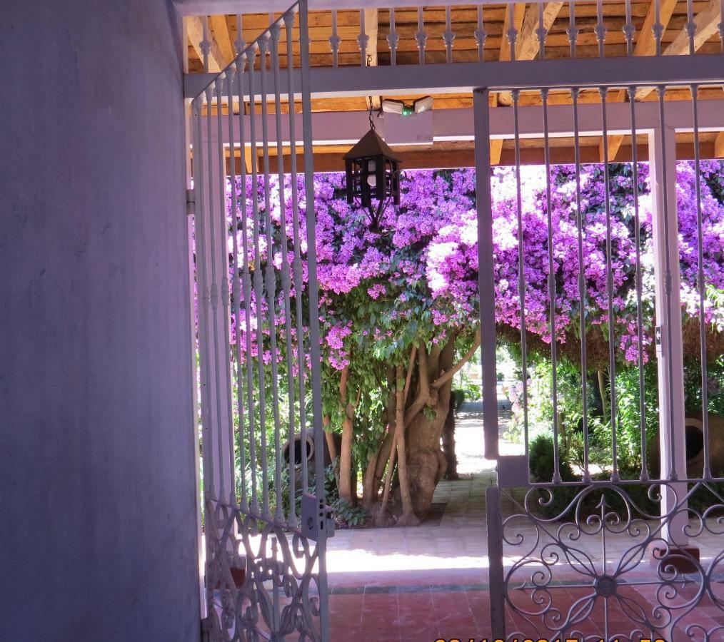 Hotel Boutique Quinta Maria سانتا كروز المظهر الخارجي الصورة